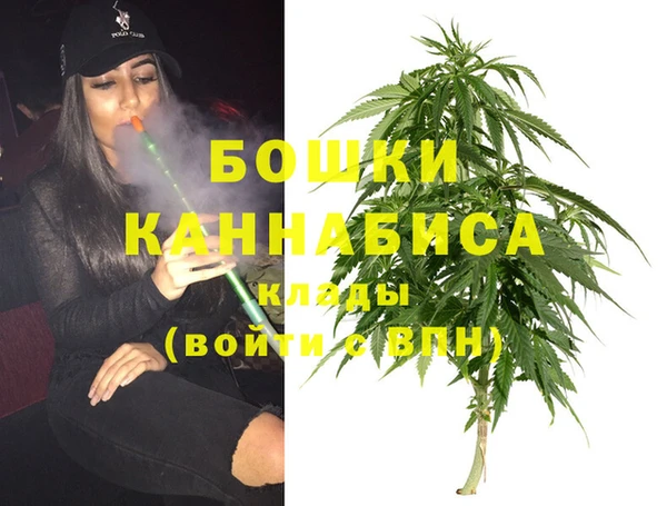 трава Армянск