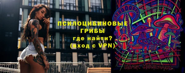 трава Армянск