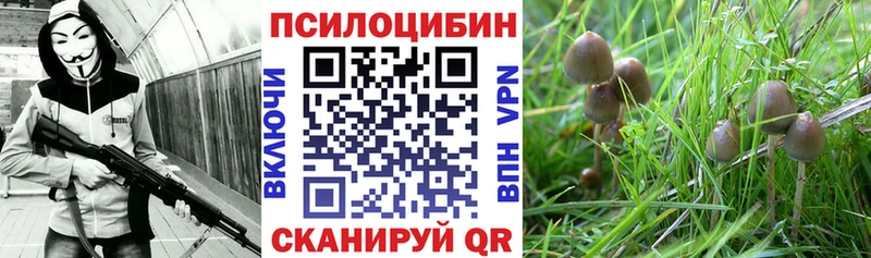 цены   Льгов  блэк спрут   Галлюциногенные грибы прущие грибы 