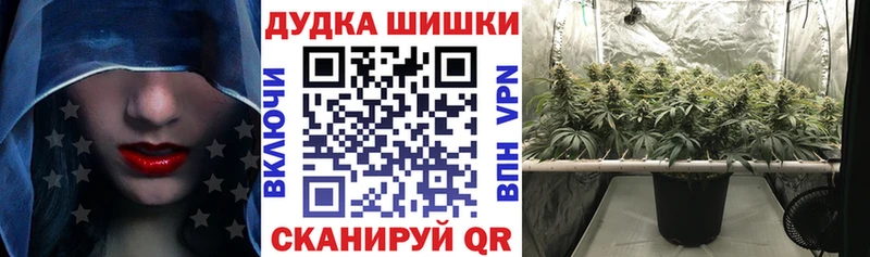 Бошки марихуана план  наркота  Льгов 